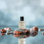 N. 0036 Megamare Ispirato a Orto Parisi - Unisex